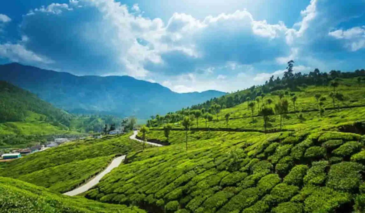 munnar-image